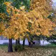 Четверг станет самым холодным днем недели в центральных и южных районах края