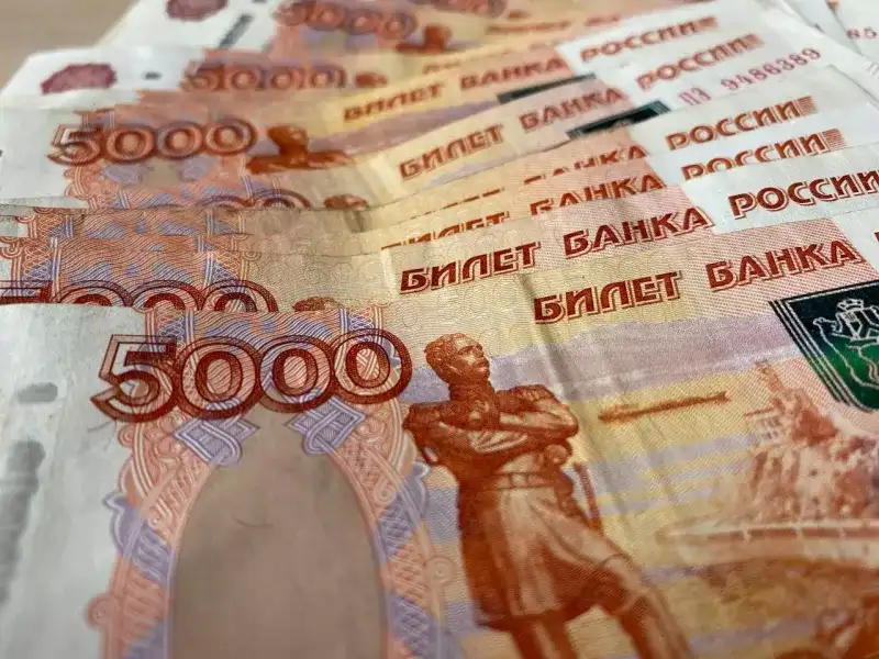 Правительство России предложило увеличить штрафы по отдельным статьям КоАП РФ