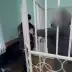 В Красноярском крае замглавы округа и и.о. директора предприятия осудили за мошенничество