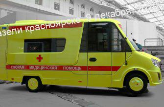 med-gazeli-krasnoyarske