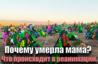 1641803222_maxresdefault-7749768-3853242-jpg