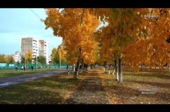 1643895218_hqdefault-4812960-8993402-jpg