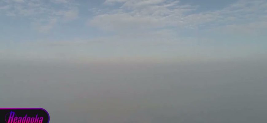 1647357754_maxresdefault-1685879-3072684-jpg