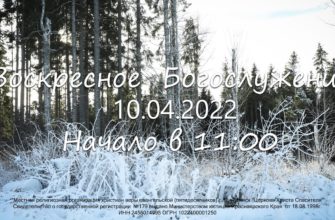 1649973809_maxresdefault-7820089-5985589-jpg