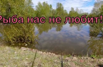 1650560531_maxresdefault-6458671-6201266-jpg