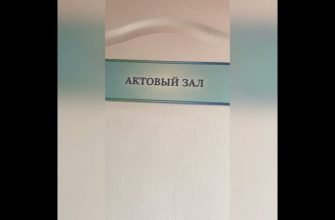 1667936182_maxresdefault-4804019-6802703-jpg