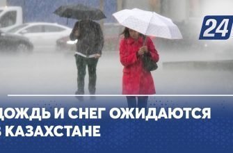 1668758823_maxresdefault-2270188-3305443-jpg