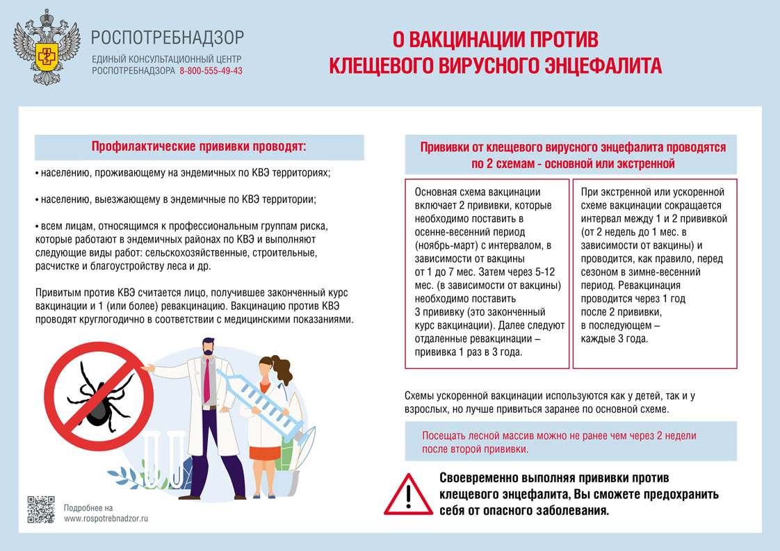 Вакцинируйтесь против клещевого вирусного энцефалита!