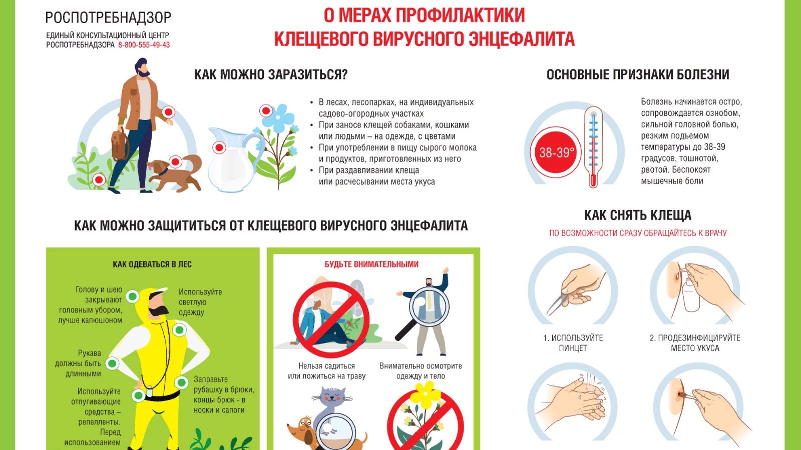 Осторожно: КЛЕЩИ!